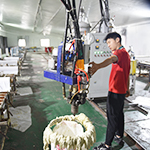 Standardized Foaming Equipment